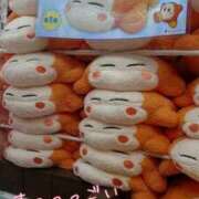 ヒメ日記 2025/02/12 11:00 投稿 村木(むらき) 丸妻 錦糸町店