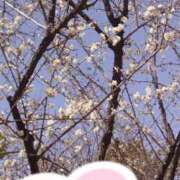 ヒメ日記 2025/02/14 11:01 投稿 村木(むらき) 丸妻 錦糸町店