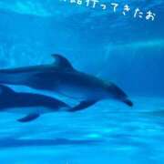 ヒメ日記 2026/05/06 11:38 投稿 村木(むらき) 丸妻 錦糸町店