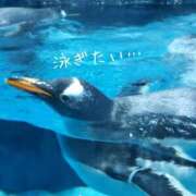 ヒメ日記 2026/05/16 18:17 投稿 村木(むらき) 丸妻 錦糸町店