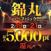 ヒメ日記 2025/02/19 11:00 投稿 金田（かねだ） 丸妻 錦糸町店