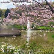 ヒメ日記 2025/03/15 07:45 投稿 宇佐美（うさみ） 丸妻 錦糸町店