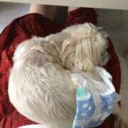 ヒメ日記 2025/07/02 16:16 投稿 宇佐美（うさみ） 丸妻 錦糸町店