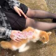 ヒメ日記 2025/10/15 16:25 投稿 宇佐美（うさみ） 丸妻 錦糸町店