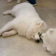 ヒメ日記 2025/10/17 12:44 投稿 宇佐美（うさみ） 丸妻 錦糸町店