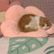 宇佐美（うさみ） 早退しました🙇‍♀️ 丸妻 錦糸町店