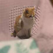 ヒメ日記 2026/01/22 17:39 投稿 宇佐美（うさみ） 丸妻 錦糸町店