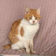 ヒメ日記 2026/01/28 13:15 投稿 宇佐美（うさみ） 丸妻 錦糸町店