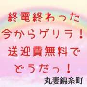 ヒメ日記 2024/04/20 01:23 投稿 七瀬 (ななせ) 丸妻 錦糸町店