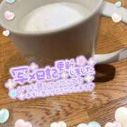 ヒメ日記 2025/02/12 10:58 投稿 浜野（はまの） 丸妻 錦糸町店