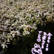 ヒメ日記 2025/03/08 23:01 投稿 浜野（はまの） 丸妻 錦糸町店