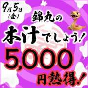 ヒメ日記 2025/09/03 11:31 投稿 浜野（はまの） 丸妻 錦糸町店