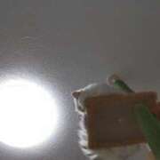 ヒメ日記 2024/12/23 14:39 投稿 橋本（はしもと） 丸妻 錦糸町店