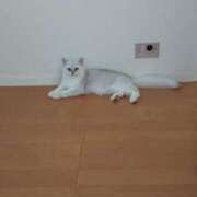 ヒメ日記 2025/01/23 13:57 投稿 橋本（はしもと） 丸妻 錦糸町店