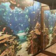 ヒメ日記 2025/03/22 21:05 投稿 橋本（はしもと） 丸妻 錦糸町店