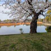 ヒメ日記 2025/04/05 22:22 投稿 橋本（はしもと） 丸妻 錦糸町店