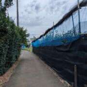 ヒメ日記 2025/07/23 13:53 投稿 橋本（はしもと） 丸妻 錦糸町店