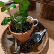 ヒメ日記 2025/11/17 17:37 投稿 橋本（はしもと） 丸妻 錦糸町店