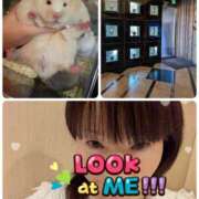 橋本（はしもと） こんにちは 丸妻 錦糸町店