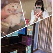 ヒメ日記 2026/03/01 20:46 投稿 橋本（はしもと） 丸妻 錦糸町店