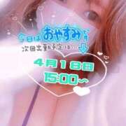 ヒメ日記 2025/04/12 21:50 投稿 望月（もちづき） 丸妻 錦糸町店