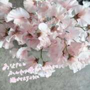 ヒメ日記 2026/04/01 12:34 投稿 折原（おりはら） 丸妻 錦糸町店