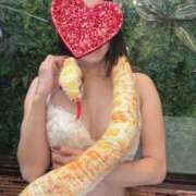 ヒメ日記 2025/01/01 20:00 投稿 若月（わかつき） 丸妻 錦糸町店