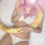 ヒメ日記 2025/01/02 18:01 投稿 若月（わかつき） 丸妻 錦糸町店