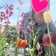 ヒメ日記 2025/03/13 14:00 投稿 若月（わかつき） 丸妻 錦糸町店