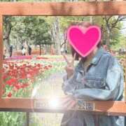 ヒメ日記 2025/03/17 16:00 投稿 若月（わかつき） 丸妻 錦糸町店