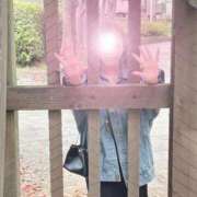 ヒメ日記 2025/03/24 14:00 投稿 若月（わかつき） 丸妻 錦糸町店