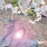 ヒメ日記 2025/04/01 09:01 投稿 若月（わかつき） 丸妻 錦糸町店