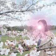 ヒメ日記 2025/04/09 08:02 投稿 若月（わかつき） 丸妻 錦糸町店