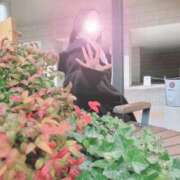 ヒメ日記 2025/11/14 15:03 投稿 若月（わかつき） 丸妻 錦糸町店