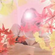 ヒメ日記 2025/11/19 10:02 投稿 若月（わかつき） 丸妻 錦糸町店