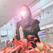 ヒメ日記 2025/11/27 11:03 投稿 若月（わかつき） 丸妻 錦糸町店