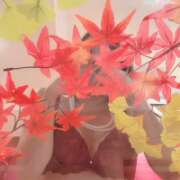 ヒメ日記 2025/11/27 18:06 投稿 若月(わかつき) 丸妻 錦糸町店