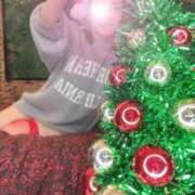 ヒメ日記 2025/12/11 10:05 投稿 若月（わかつき） 丸妻 錦糸町店