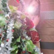 ヒメ日記 2025/12/20 16:02 投稿 若月（わかつき） 丸妻 錦糸町店