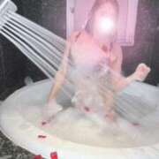 ヒメ日記 2026/01/26 07:10 投稿 若月（わかつき） 丸妻 錦糸町店