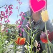 ヒメ日記 2026/03/15 16:08 投稿 若月（わかつき） 丸妻 錦糸町店