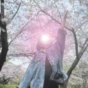 ヒメ日記 2026/03/24 10:03 投稿 若月（わかつき） 丸妻 錦糸町店