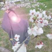 ヒメ日記 2026/03/25 11:18 投稿 若月（わかつき） 丸妻 錦糸町店