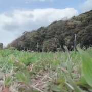 ヒメ日記 2026/04/02 12:14 投稿 若月（わかつき） 丸妻 錦糸町店