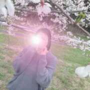 ヒメ日記 2026/04/03 10:12 投稿 若月（わかつき） 丸妻 錦糸町店