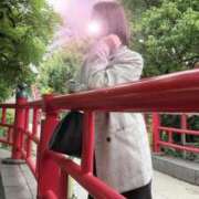 ヒメ日記 2026/04/13 20:04 投稿 若月（わかつき） 丸妻 錦糸町店