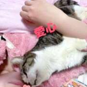 ヒメ日記 2026/02/22 20:33 投稿 愛心（あいす） 丸妻 錦糸町店