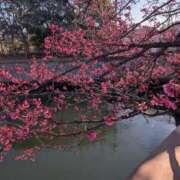 江川（えがわ） 明日は 丸妻 錦糸町店