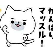 ヒメ日記 2024/12/17 23:30 投稿 雨宮（あまみや） 丸妻 錦糸町店