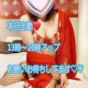 ヒメ日記 2025/02/27 10:00 投稿 雨宮（あまみや） 丸妻 錦糸町店